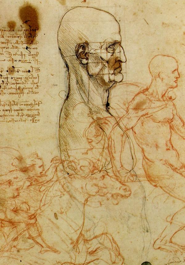 Leonardo da Vinci Artwork