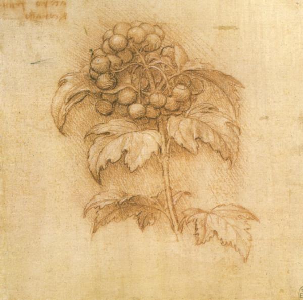 Leonardo da Vinci Artwork
