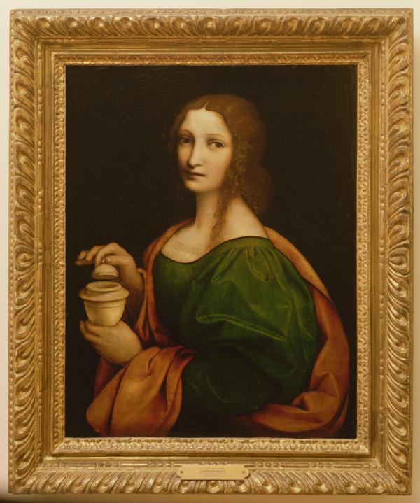Leonardo da Vinci Artwork