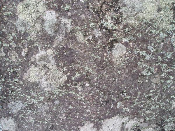 Rock Texture