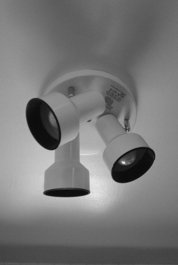 Light in Black and White