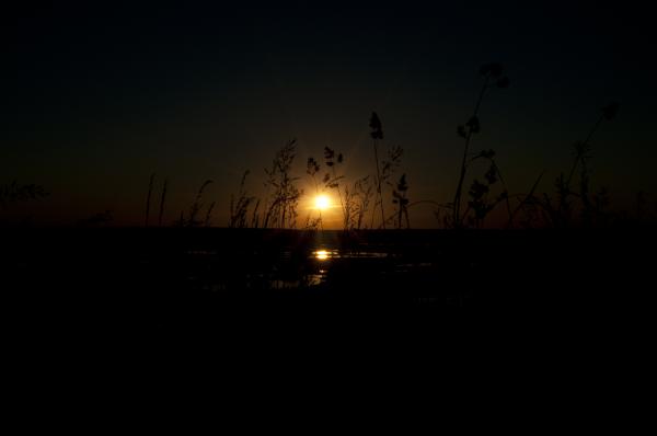 Light is in darkness