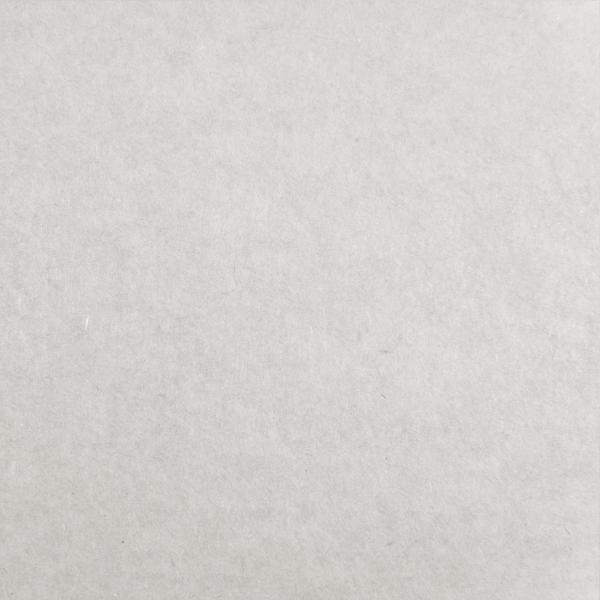 Light Paper Texture