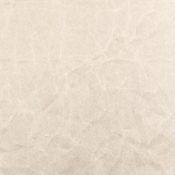 Light Paper Texture