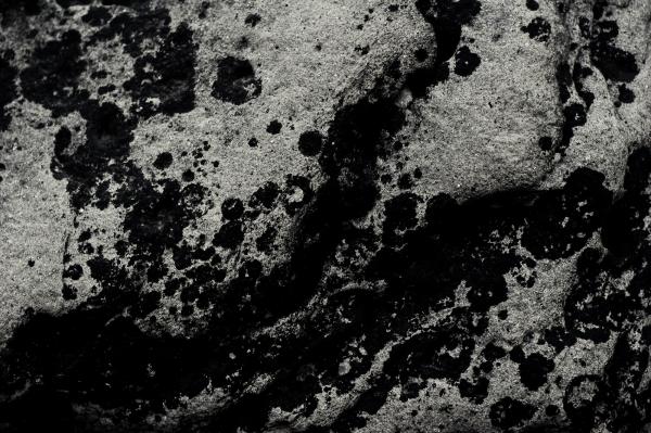 Light Rock Surface