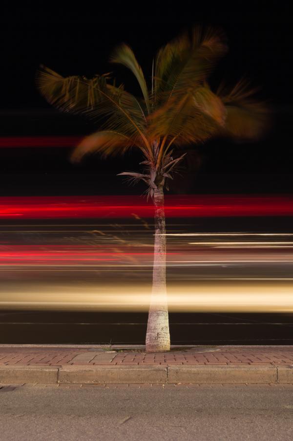 Light Trails at the Boulevard