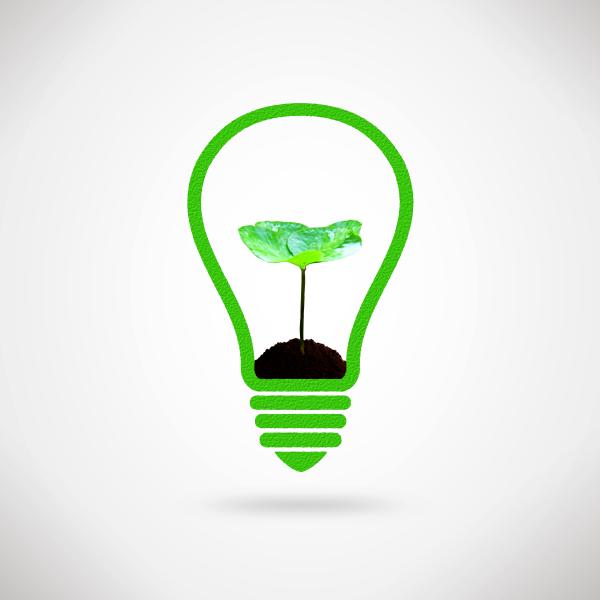 Lightbulb and plant sprout - Ecology and environment idea