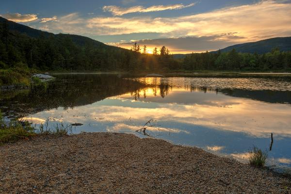 Lily Pond Sunset - HDR