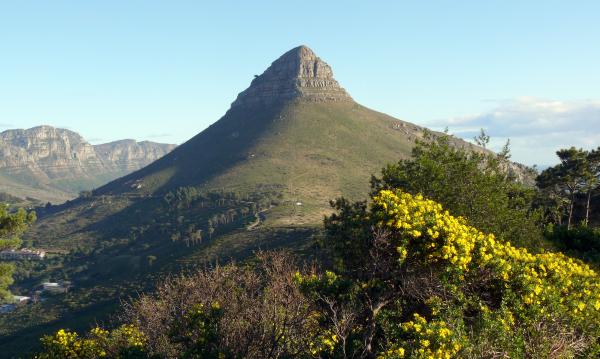 Lions Head