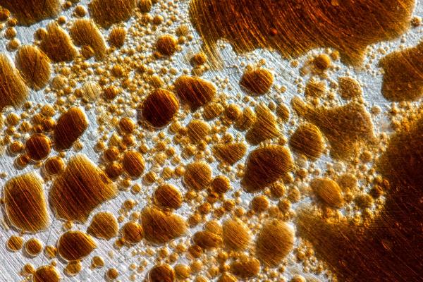 Liquids and bubbles