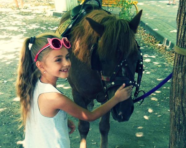 Little Girl Petting Horse
