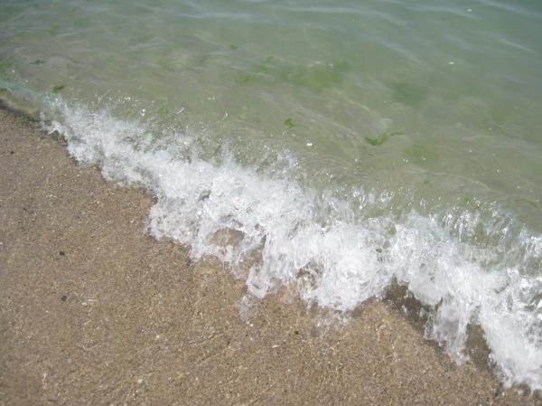 Little sea wave