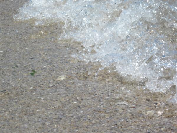 Little sea wave