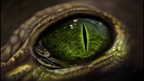 Lizard Eye