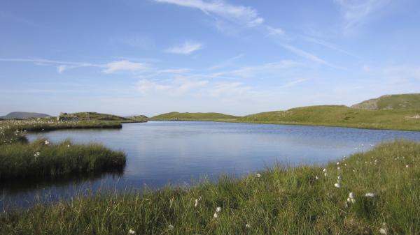 LLYN CASEG FRAITH 14-7-2013