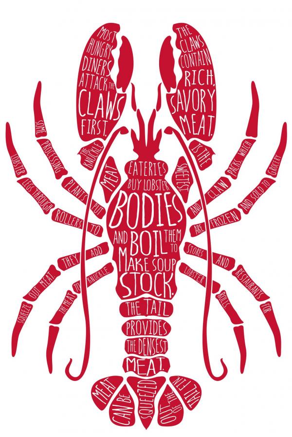 Lobster Illustration