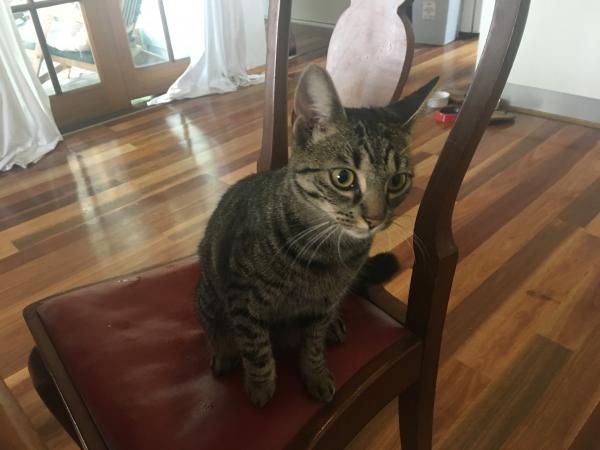 Lola Wishes to be in our Podcast