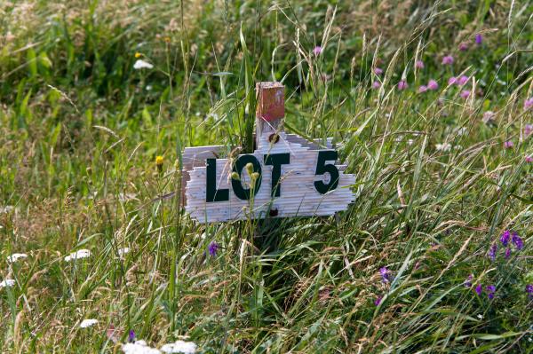 Lot Number