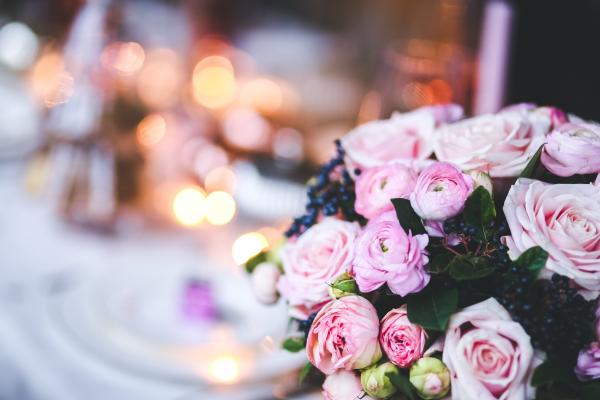 Lovely Pink Flowers with Bokeh