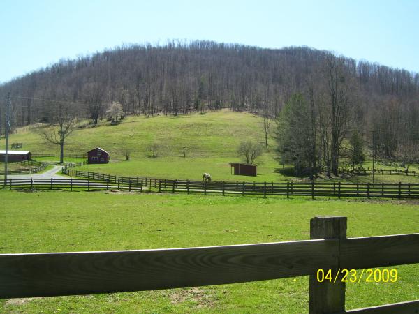 Lovely Scenery
