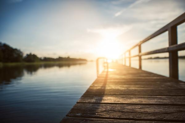 Low Angle Photography of Brown Wooden Dock at Golden House