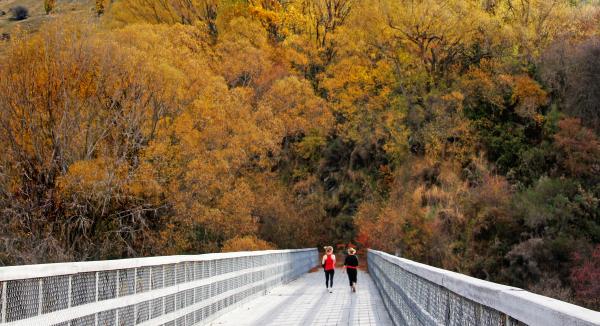 Lower Shotover River Bridge. Otago.