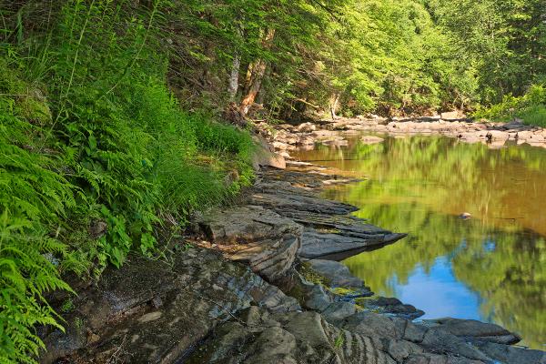 Loyalsock Creek - HDR