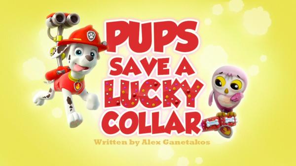 Lucky Paw