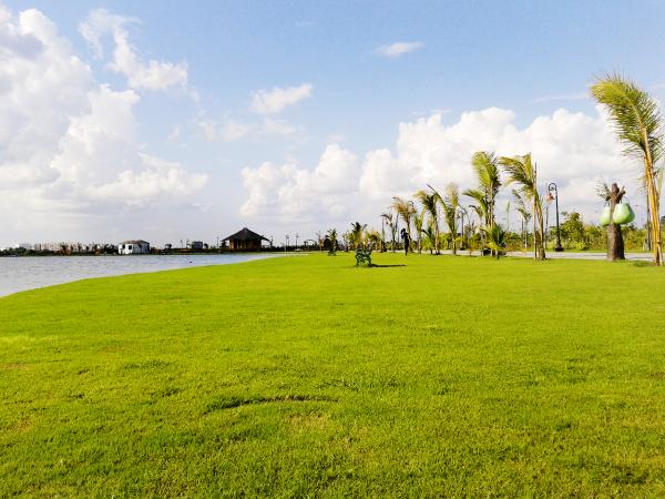 Lush Green Park
