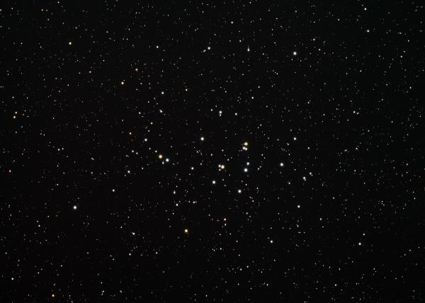 M 44 Praesepe Beehive cluster