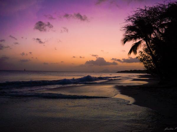 Madinina, les salines couche de soleil