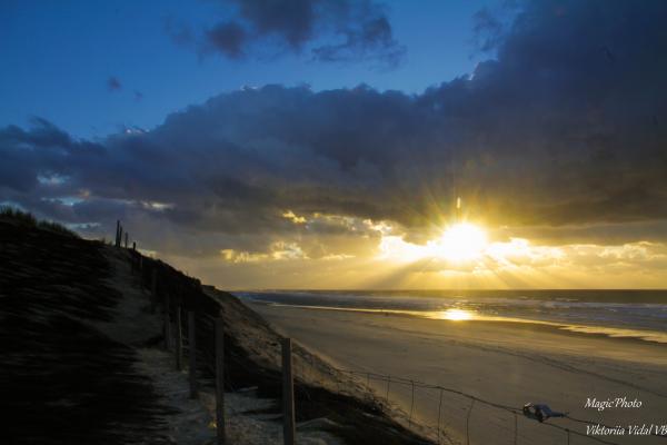 Magnifiques plages landaise