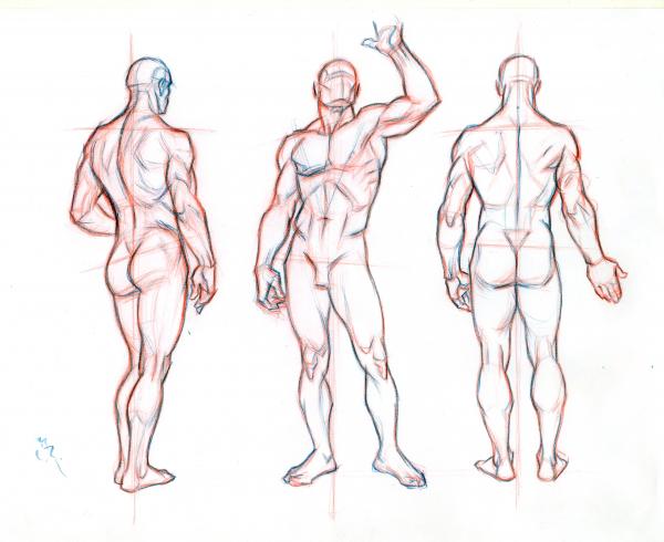 Model Figure