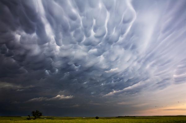 Mammatus Clouds