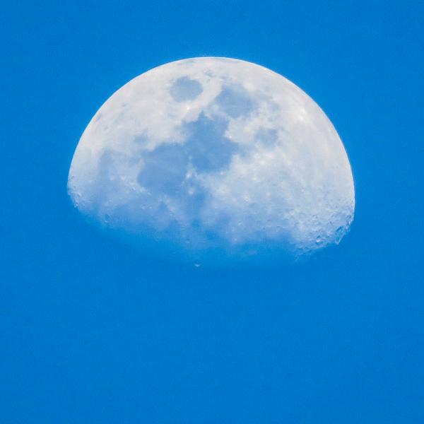 Man In The Moon