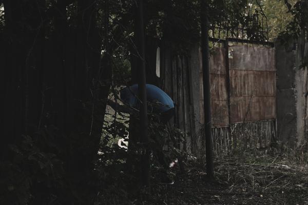 Man Sneaking Into Backyard