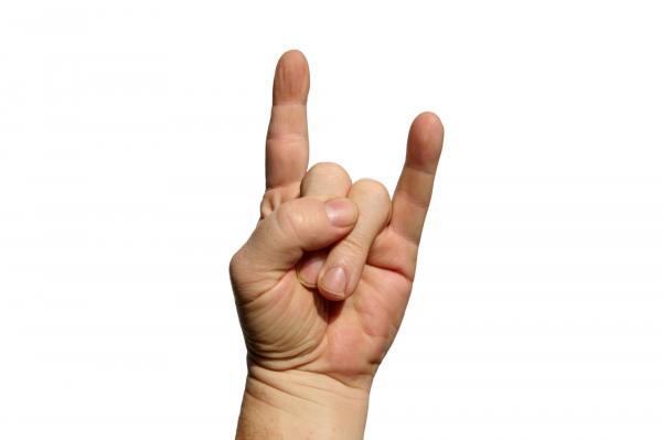 Two fists
