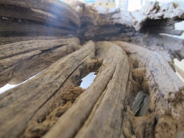 Mangled Wood Texture