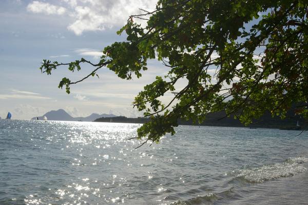 Martinique island