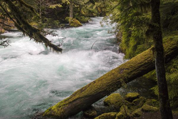 McKenzie River, Spring Snow Melt