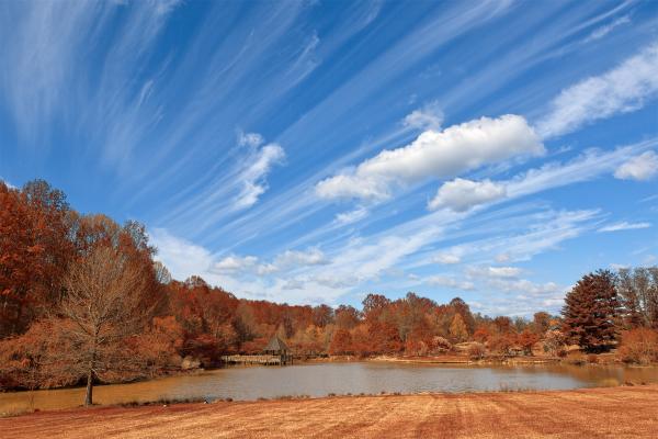 Meadowlark Gardens - Autumn Warm HDR