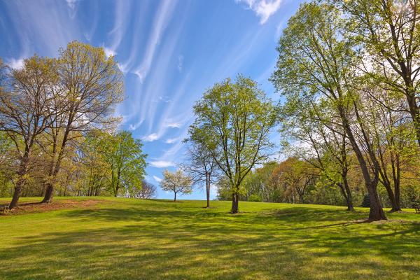 Meadowlark Gardens - HDR
