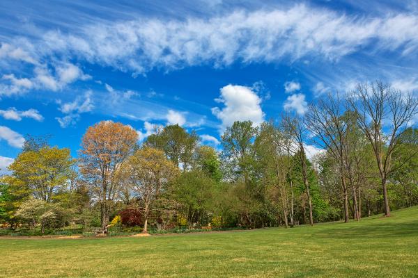 Meadowlark Gardens - HDR