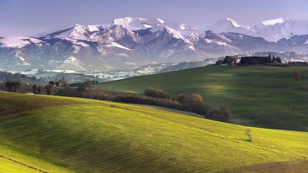meadows and hills