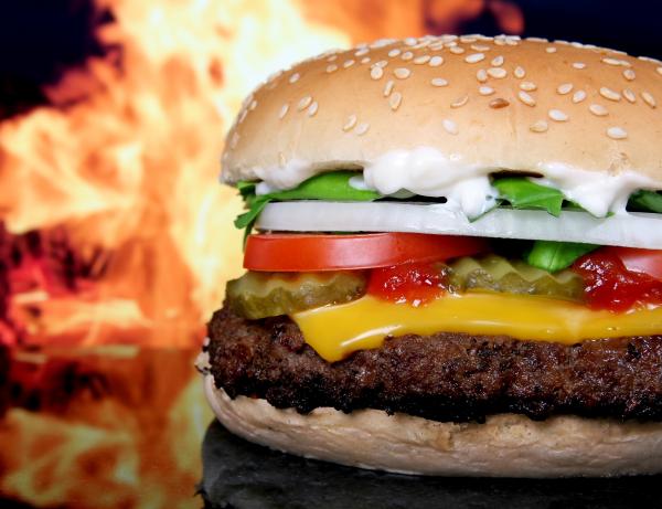Meat Tomato and Cheese Burger