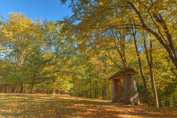 Megalith Forest - HDR