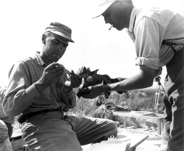 Men Working
