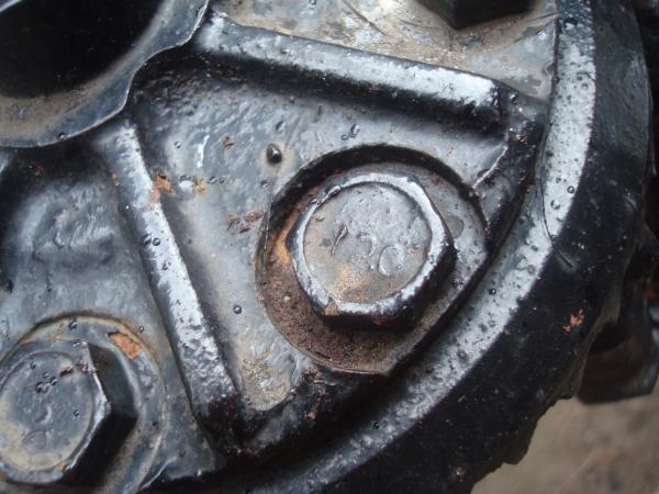Metal bolts