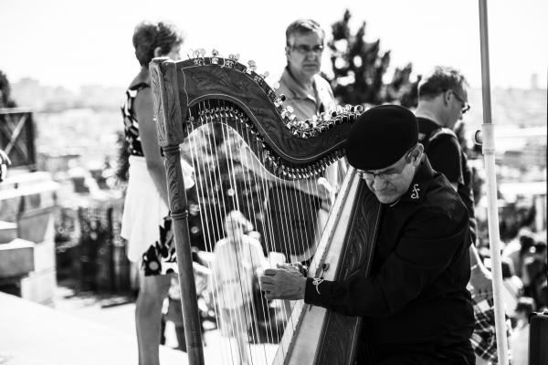 Metal Harp