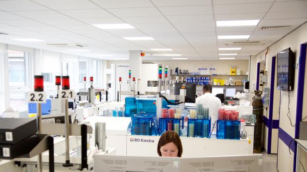 Microbiology Laboratory